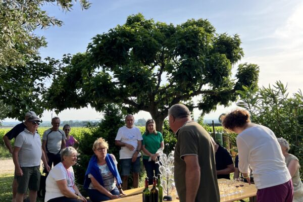 Weingut Chateau Arnaud de Jacquemeau