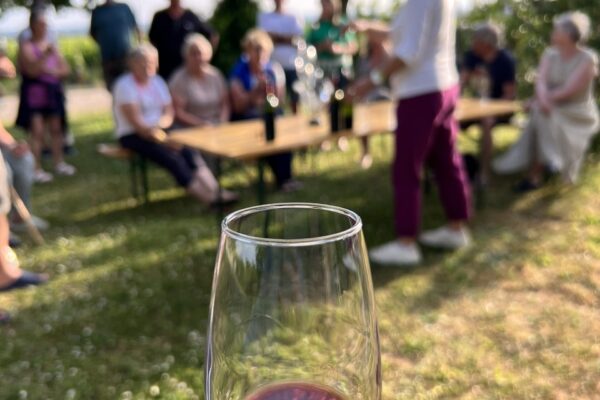 Weingut Chateau Arnaud de Jacquemeau